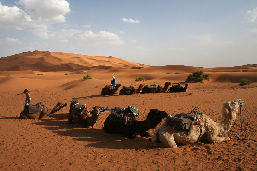 5308_Erg Chebbi - Rust na de tocht.jpg